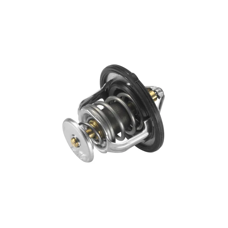 Thermostat d'eau WAHLER 4639.82D - Visuel 1