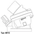 WAHLER 4816.90D - Thermostat d'eau