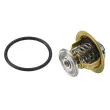 WAHLER 4820.87D - Thermostat d'eau