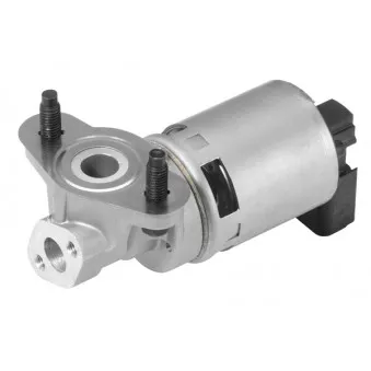 Vanne EGR WAHLER [710633D]