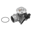 WAHLER 7223D - Vanne EGR