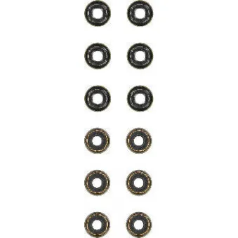 Jeu de joints d'étanchéité, tige de soupape GLASER [N93196-01]