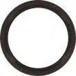 Bague d'étanchéité, vilebrequin GLASER [P77534-01]