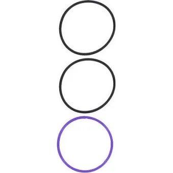 GLASER R38776-00 - Jeu de joints d'étanchéité, chemise de cylindre