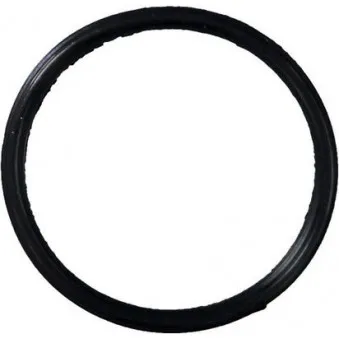 GLASER X89126-01 - Joint d'étanchéité, collecteur d'admission