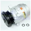 DELPHI CS0057-11B1 - Compresseur, climatisation