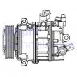 DELPHI CS20529 - Compresseur, climatisation
