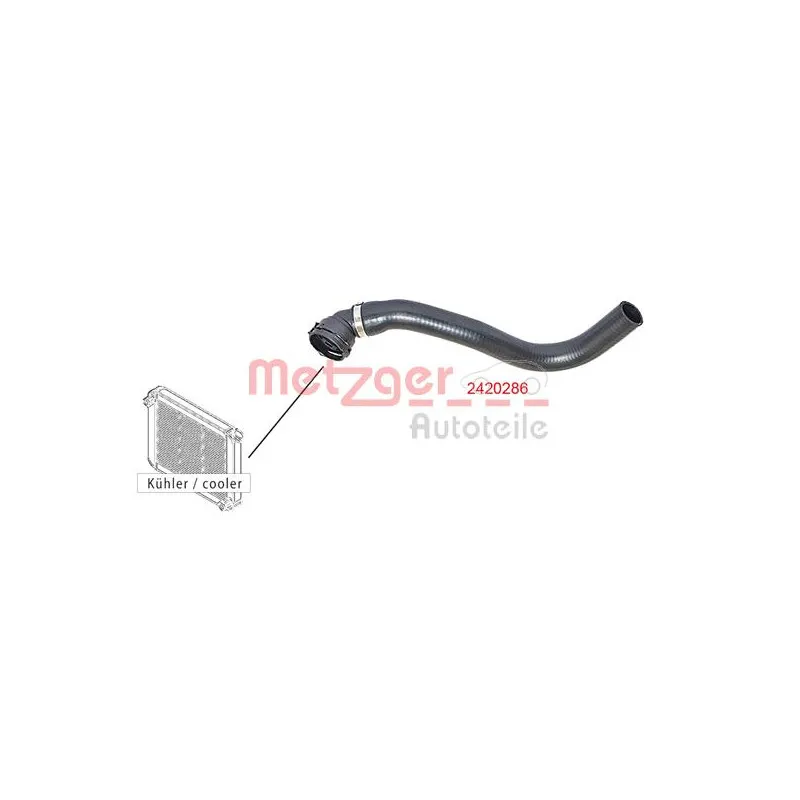 Durite de radiateur METZGER 2420286 - Visuel 1