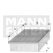 MANN-FILTER C 2860/3 - Filtre à air