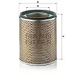 Filtre à air MANN-FILTER [C 29 624/1]