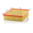 MANN-FILTER C 33 256 - Filtre à air