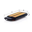 MANN-FILTER C 3434 - Filtre à air