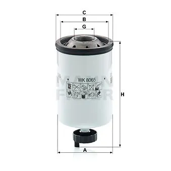 Filtre à carburant MANN-FILTER WK 8065 pour LANDINI TECHNOFARM 60 - 58cv