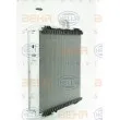BEHR HELLA SERVICE 8MK 376 903-021 - Radiateur, refroidissement du moteur