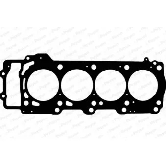 Joint d'étanchéité, culasse PAYEN AB5570