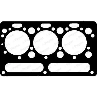 Joint d'étanchéité, culasse PAYEN OEM 3681E006