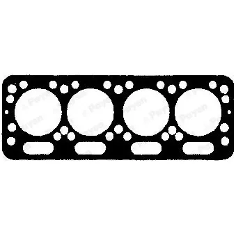 Joint d'étanchéité, culasse PAYEN OEM 1940081