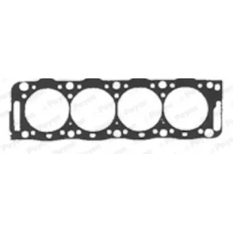 PAYEN BV160 - Joint d'étanchéité, culasse