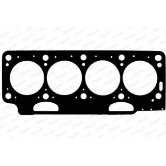 Joint d'étanchéité, culasse PAYEN [BX080]