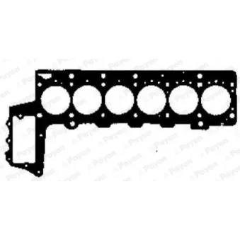 Joint d'étanchéité, culasse PAYEN OEM 2248982