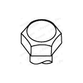 Jeu de boulons de culasse de cylindre PAYEN OEM N804732S