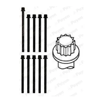 Jeu de boulons de culasse de cylindre PAYEN HBS281