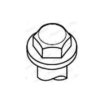 PAYEN HBS303 - Jeu de boulons de culasse de cylindre