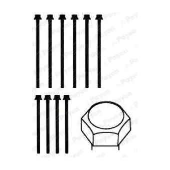 PAYEN HBS391 - Jeu de boulons de culasse de cylindre