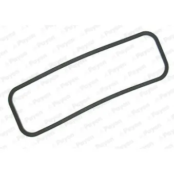 Joint de cache culbuteurs PAYEN OEM 75047060