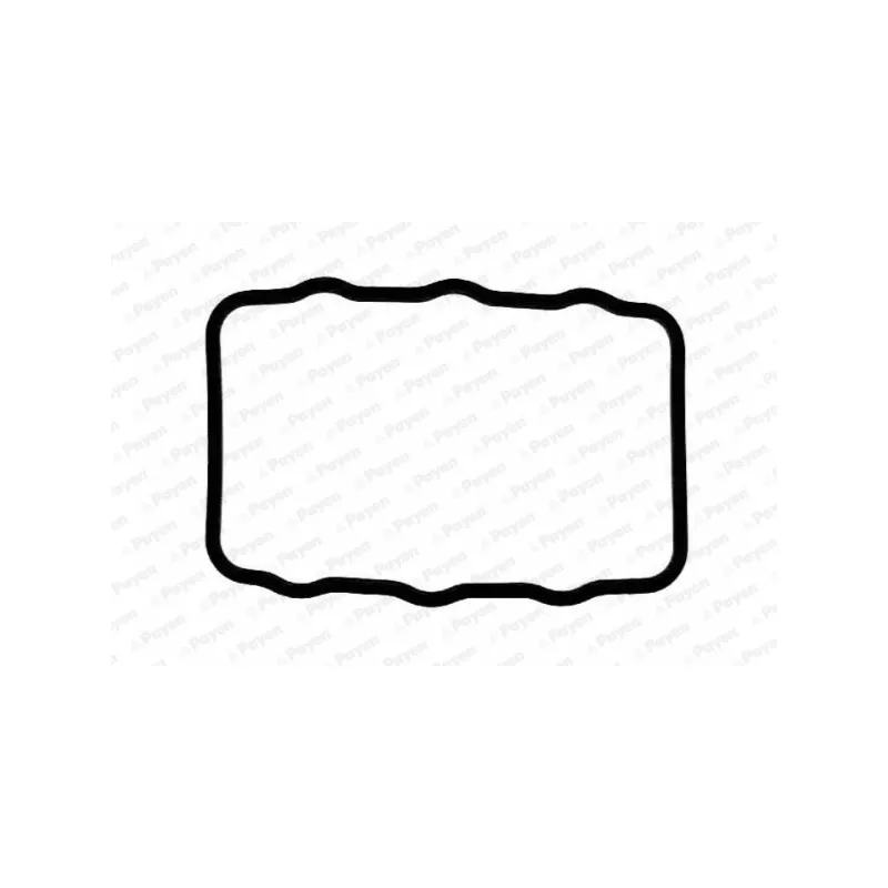 Joint de cache culbuteurs PAYEN JN440 - Visuel 1