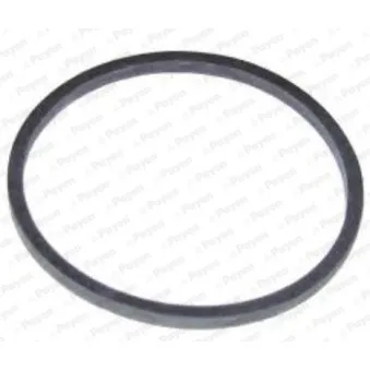 Bague d'étanchéité, radiateur d'huile PAYEN KK5738