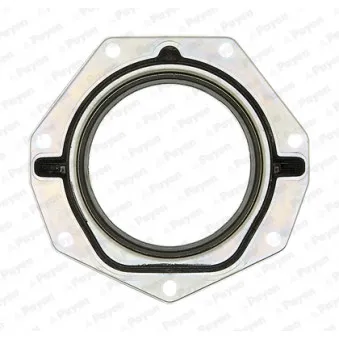 PAYEN NF886 - Bague d'étanchéité, vilebrequin