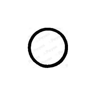 Joint d'étanchéité, vis de couvercle de culasse PAYEN OEM 7574731