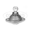 Rotule de suspension CORTECO [49395671]