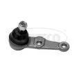 CORTECO 49395991 - Rotule de suspension avant droit
