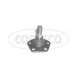CORTECO 49399032 - Rotule de suspension