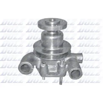 Pompe à eau DOLZ P311