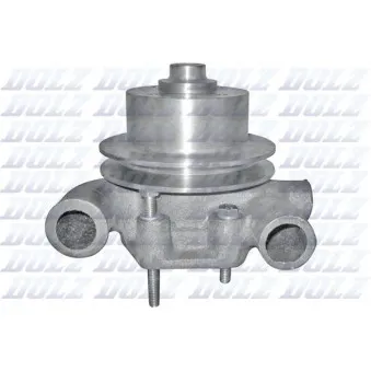 DOLZ P319 - Pompe à eau