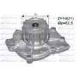 DOLZ R299 - Pompe à eau