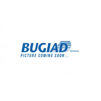 BUGIAD BSP25159 - Fusée d'essieu, suspension de roue