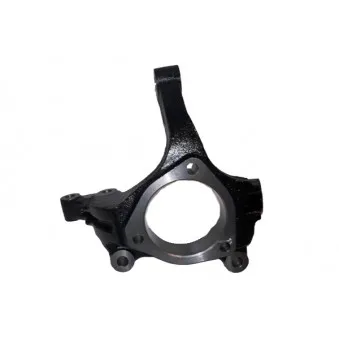 BUGIAD BSP25172 - Fusée d'essieu, suspension de roue avant droit