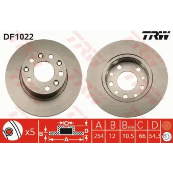 TRW DF1022 - Jeu de 2 disques de frein arrière