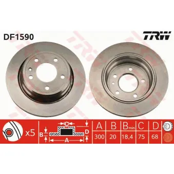 TRW DF1590 - Jeu de 2 disques de frein arrière