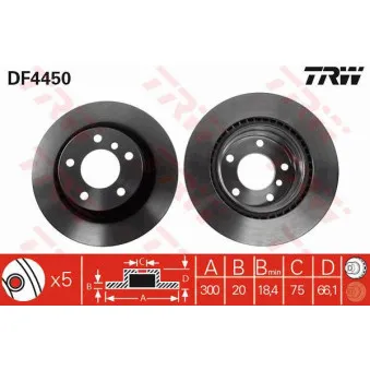 TRW DF4450 - Jeu de 2 disques de frein arrière