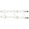 TRW PHB213 - Flexible de frein