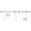 TRW PHB274 - Flexible de frein