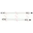 TRW PHB699 - Flexible de frein