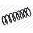 LESJOFORS 4056923 - Ressort de suspension