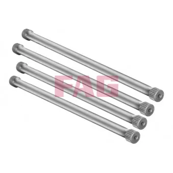 Jeu de suspensions, ressorts FAG OEM 7700301727