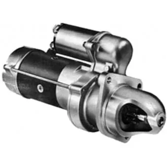 Démarreur REMY [1113281]